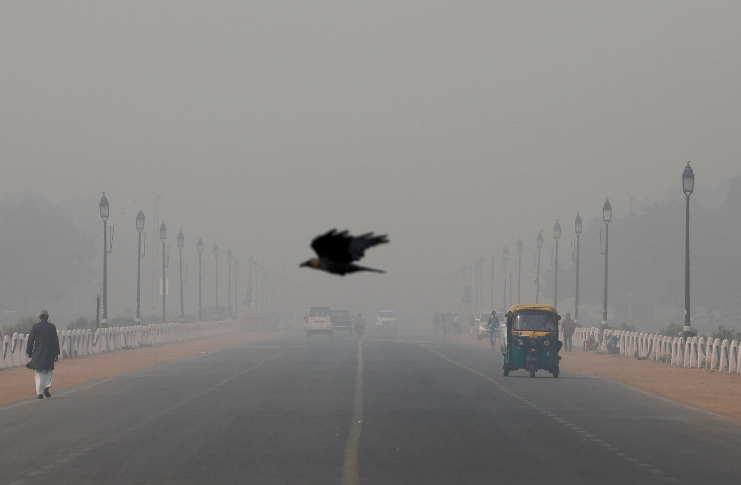 A bird flies through smog in New Delhi, India, Nov. 13, 2019. Pope Francis told participants at a Vatican City conference on criminal justice Nov. 15, that there are plans to include a definition of ecological and other “psycho-social phenomenon” hate sins in the Catechism of the Catholic Church.